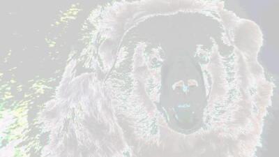Default image alt